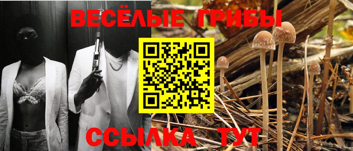 Нальчик  Галлюциногенные грибы мицелий  Вход с VPN 