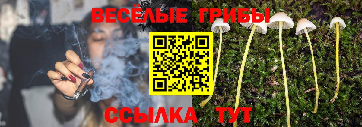 Альфа ПВП Нальчик